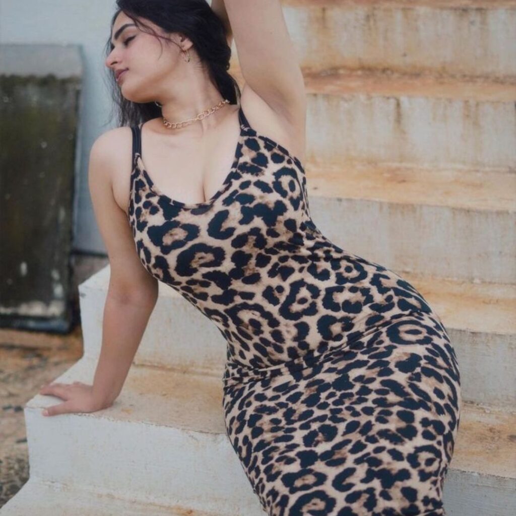 ayesha khan cheetah gown