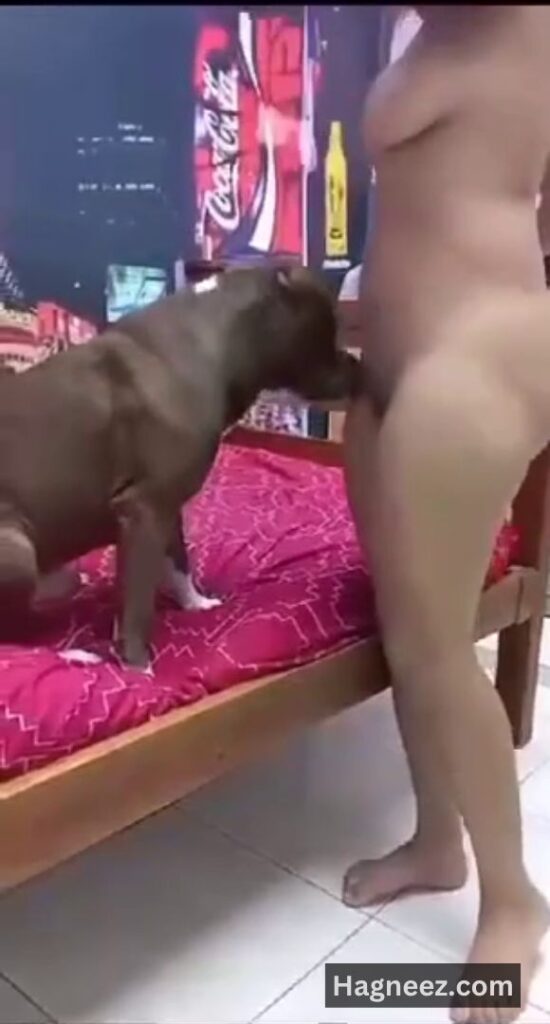 girl sex with dog