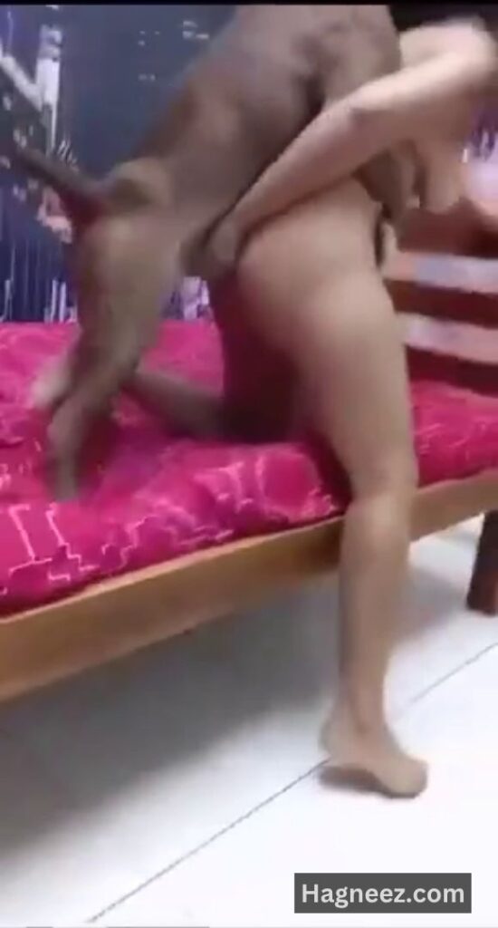 girl sex with dog