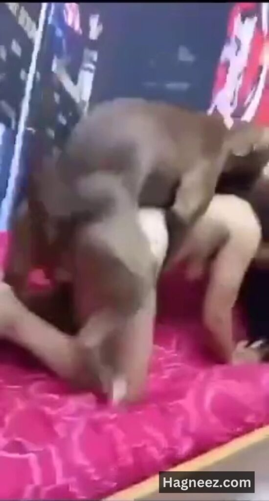 girl sex with dog