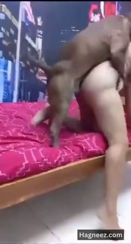 girl sex with dog