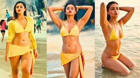 alia bhatt bikini nude
